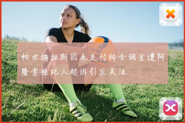帕尔梅拉斯因未支付转会佣金遭阿隆索经纪人起诉引发关注